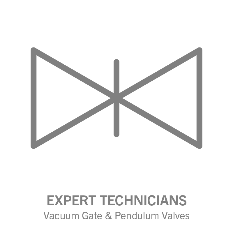 Expert Gate & Pendulum Valve Technicians